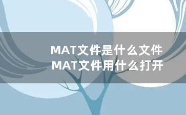 MAT文件是什么文件 MAT文件用什么打开